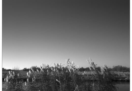 20251231-GSW690-Delta100-KrommeMijdrecht-107